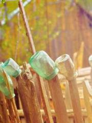 Wang Xuan Mu Qingyue